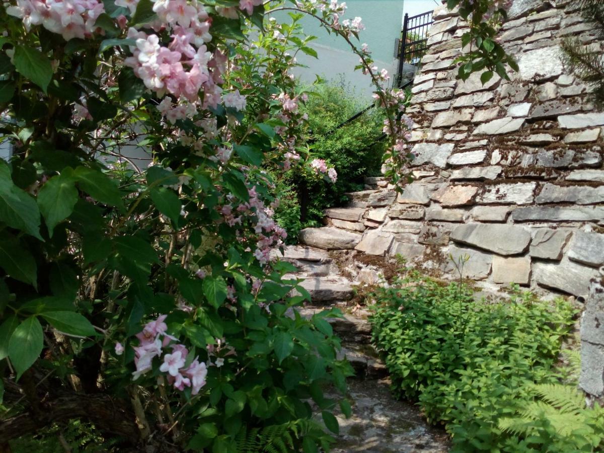 Apartamenty Kaskada Międzygórze Exterior foto